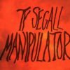 Ty Segall – Manipulator, 2014