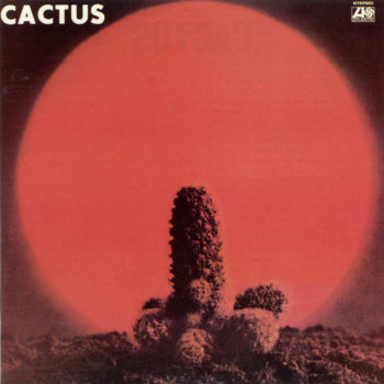 Cactus Book Cover