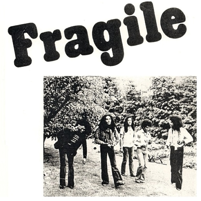Fragile Book Cover