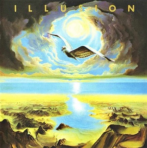 Illusion Book Cover
