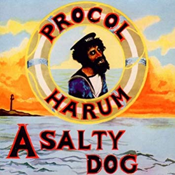 A Salty Dog Book Cover