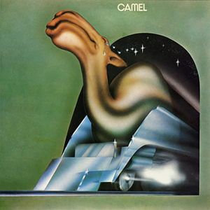 Camel Book Cover
