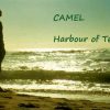 Camel – Harbour Of Tears (1996)