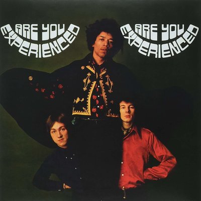 Are You Experienced Book Cover