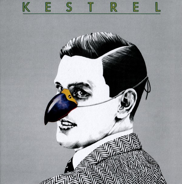 Kestrel Book Cover