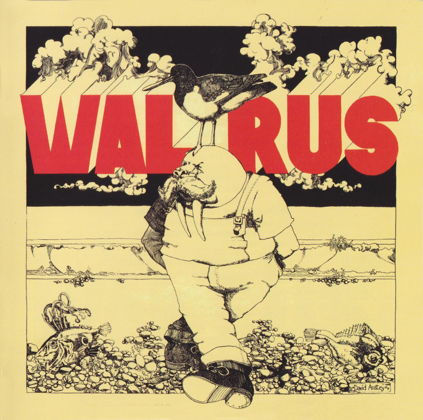 Walrus Book Cover