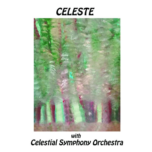 With Celestial Symphony Orchestra Book Cover