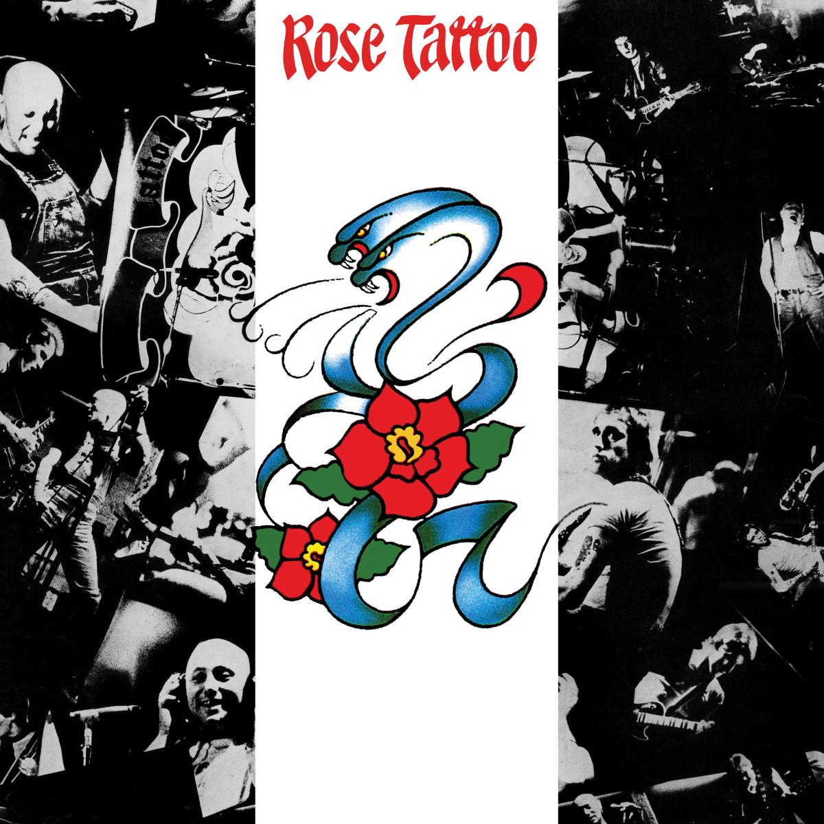 Rose Tattoo Book Cover