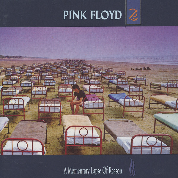 A Momentary Lapse of Reason Book Cover