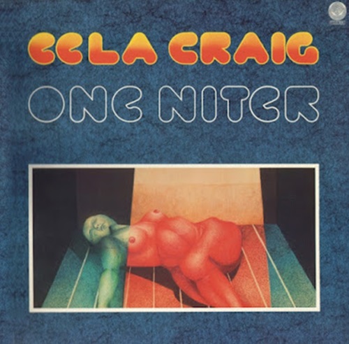 One Niter Book Cover