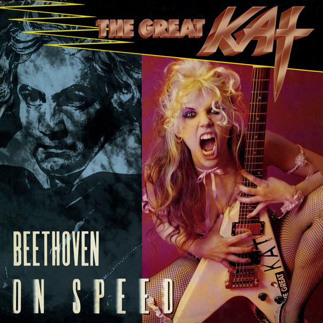Beethoven on Speed Book Cover